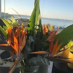 La Terrazza Sul Porto 4* Syracuse