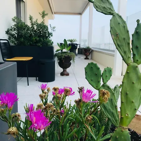 La Terrazza Sul Porto Alojamento de Acomodação e Pequeno-almoço 4*