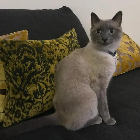 ベッド・アンド・ブレックファスト La Terrazza Sul Porto 4*