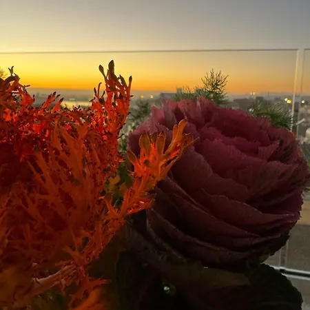 La Terrazza Sul Porto Bed & Breakfast