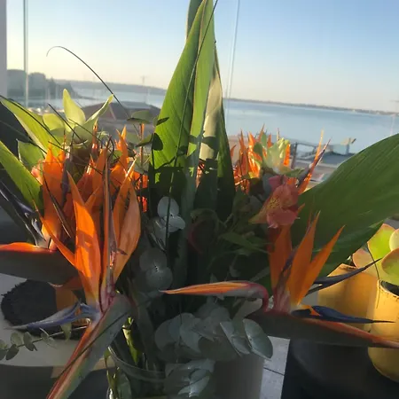 La Terrazza Sul Porto * Syracuse
