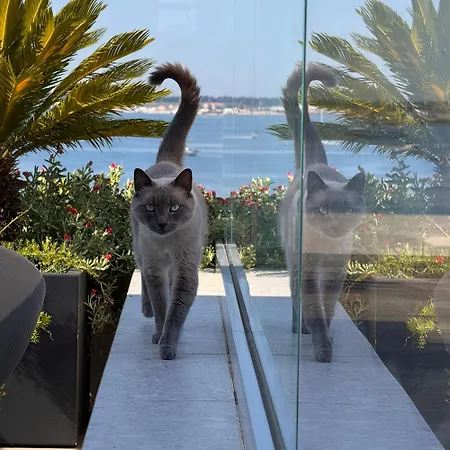 La Terrazza Sul Porto ベッド・アンド・ブレックファスト