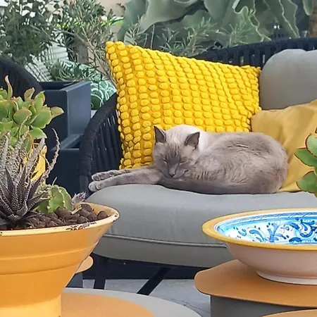 La Terrazza Sul Porto ベッド・アンド・ブレックファスト