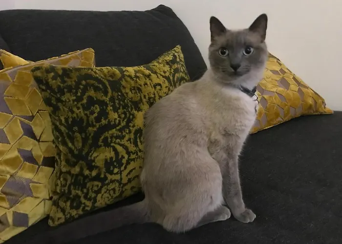 B&B La Terrazza Sul Porto 4*