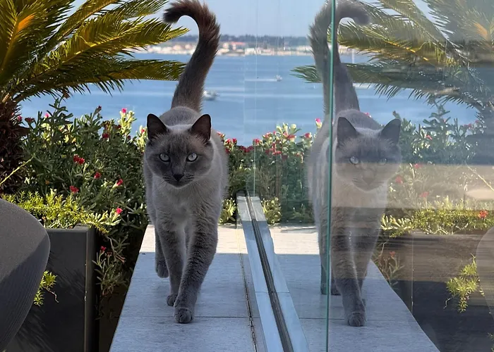 La Terrazza Sul Porto B&B